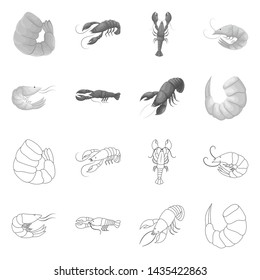 Isolated object of appetizer and ocean sign. Set of appetizer and delicacy stock symbol for web.