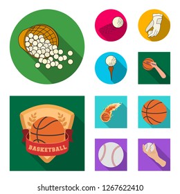 Isolated object of ball and soccer icon. Set of ball and basketball stock vector illustration.