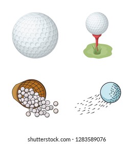 Isolated object of ball and soccer symbol. Set of ball and basketball vector icon for stock.
