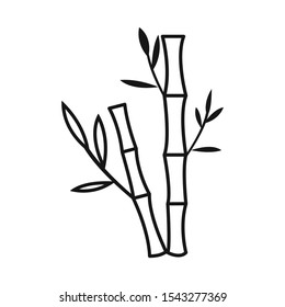Isolated object of bamboo and tree symbol. Web element of bamboo and green stock vector illustration.
