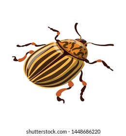 Isolated object of beetle and colorado icon. Set of beetle and striped stock symbol for web.