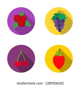 Isolated object of berry and fruit sign. Set of berry and redberry  vector icon for stock.