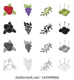 Isolated object of berry and fruit symbol. Set of berry and redberry  vector icon for stock.