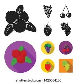 Isolated object of berry and fruit symbol. Collection of berry and redberry  stock symbol for web.