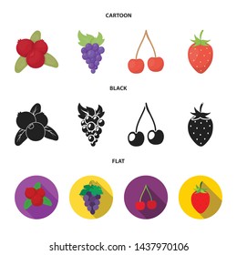Isolated object of berry and fruit symbol. Set of berry and redberry stock symbol for web.