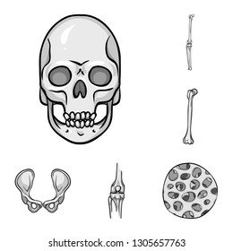 Isolated object of biology and medical icon. Set of biology and skeleton vector icon for stock.