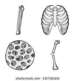 Isolated object of biology and medical icon. Set of biology and skeleton stock vector illustration.