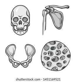 Isolated object of biology and medical icon. Set of biology and skeleton stock symbol for web.