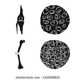 Isolated object of biology and medical sign. Collection of biology and skeleton vector icon for stock.