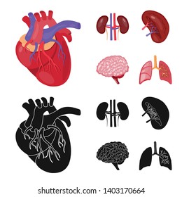 Isolated object of biology and scientific icon. Collection of biology and laboratory vector icon for stock.