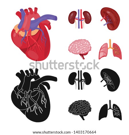 Isolated object of biology and scientific icon. Collection of biology and laboratory vector icon for stock.