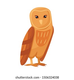 Isolated object of bird and owl icon. Collection of bird and nature stock symbol for web.
