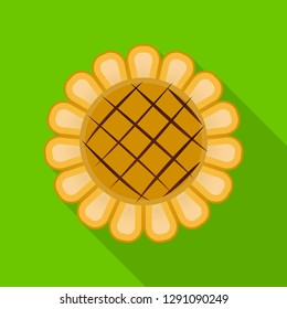 Isolated object of biscuit and bake symbol. Set of biscuit and chocolate stock symbol for web.