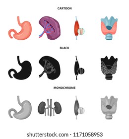 Isolated object of body and human icon. Set of body and medical stock symbol for web.