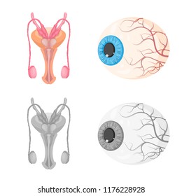 Isolated object of body and human icon. Set of body and medical stock symbol for web.