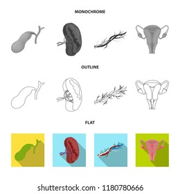 Isolated object of body and human icon. Set of body and medical stock vector illustration.