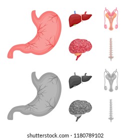 Isolated object of body and human icon. Collection of body and medical stock vector illustration.