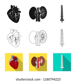 Isolated object of body and human icon. Set of body and medical stock symbol for web.