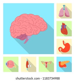 Isolated object of body and human icon. Set of body and medical stock vector illustration.