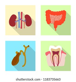 Isolated object of body and human icon. Collection of body and medical stock symbol for web.