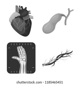 Isolated object of body and human icon. Set of body and medical stock symbol for web.