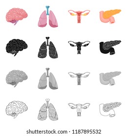 Isolated object of body and human icon. Set of body and medical vector icon for stock.