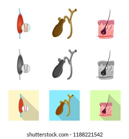 Isolated object of body and human icon. Set of body and medical stock symbol for web.