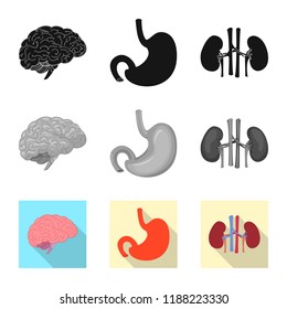 Isolated object of body and human icon. Set of body and medical vector icon for stock.