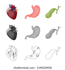 Isolated object of body and human icon. Set of body and medical vector icon for stock.