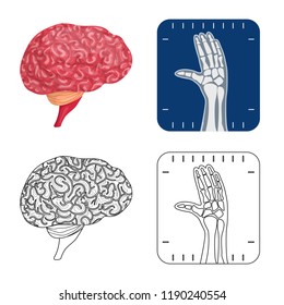 Isolated object of body and human icon. Collection of body and medical vector icon for stock.