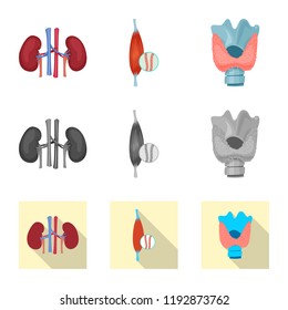 Isolated object of body and human icon. Collection of body and medical stock symbol for web.