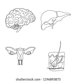 Isolated object of body and human icon. Set of body and medical stock vector illustration.