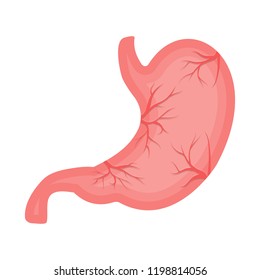 Isolated object of body and human icon. Set of body and medical stock symbol for web.
