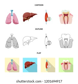Isolated object of body and human icon. Set of body and medical vector icon for stock.