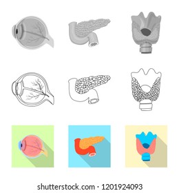 Isolated object of body and human icon. Set of body and medical stock vector illustration.