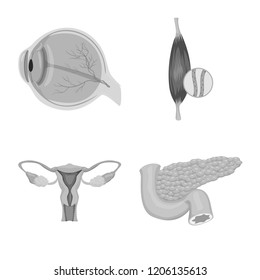 Isolated object of body and human icon. Collection of body and medical vector icon for stock.