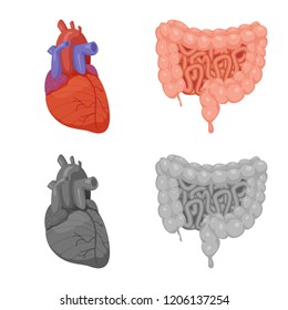 Isolated object of body and human icon. Set of body and medical stock vector illustration.