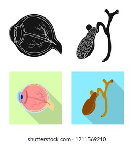 Isolated object of body and human icon. Collection of body and medical vector icon for stock.