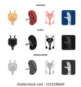 Isolated object of body and human icon. Collection of body and medical stock symbol for web.