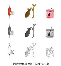 Isolated object of body and human icon. Collection of body and medical stock symbol for web.