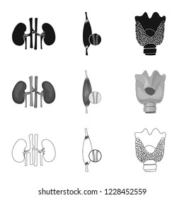 Isolated object of body and human icon. Collection of body and medical vector icon for stock.