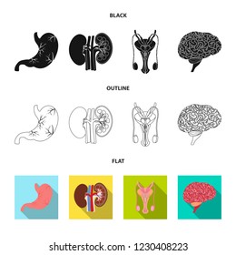Isolated object of body and human icon. Collection of body and medical stock vector illustration.