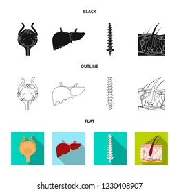 Isolated object of body and human icon. Set of body and medical stock vector illustration.