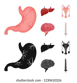 Isolated object of body and human icon. Collection of body and medical stock vector illustration.