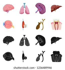Isolated object of body and human icon. Set of body and medical vector icon for stock.