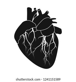 Isolated object of body and human icon. Set of body and medical stock vector illustration.