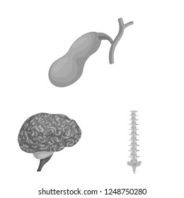 Isolated object of body and human icon. Set of body and medical stock symbol for web.