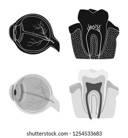 Isolated object of body and human icon. Collection of body and medical stock vector illustration.