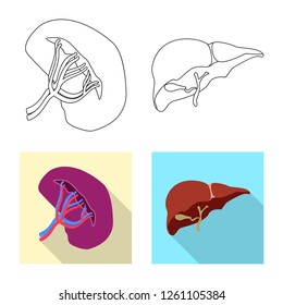 Isolated object of body and human icon. Set of body and medical stock vector illustration.