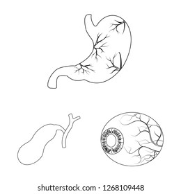Isolated object of body and human icon. Set of body and medical stock symbol for web.